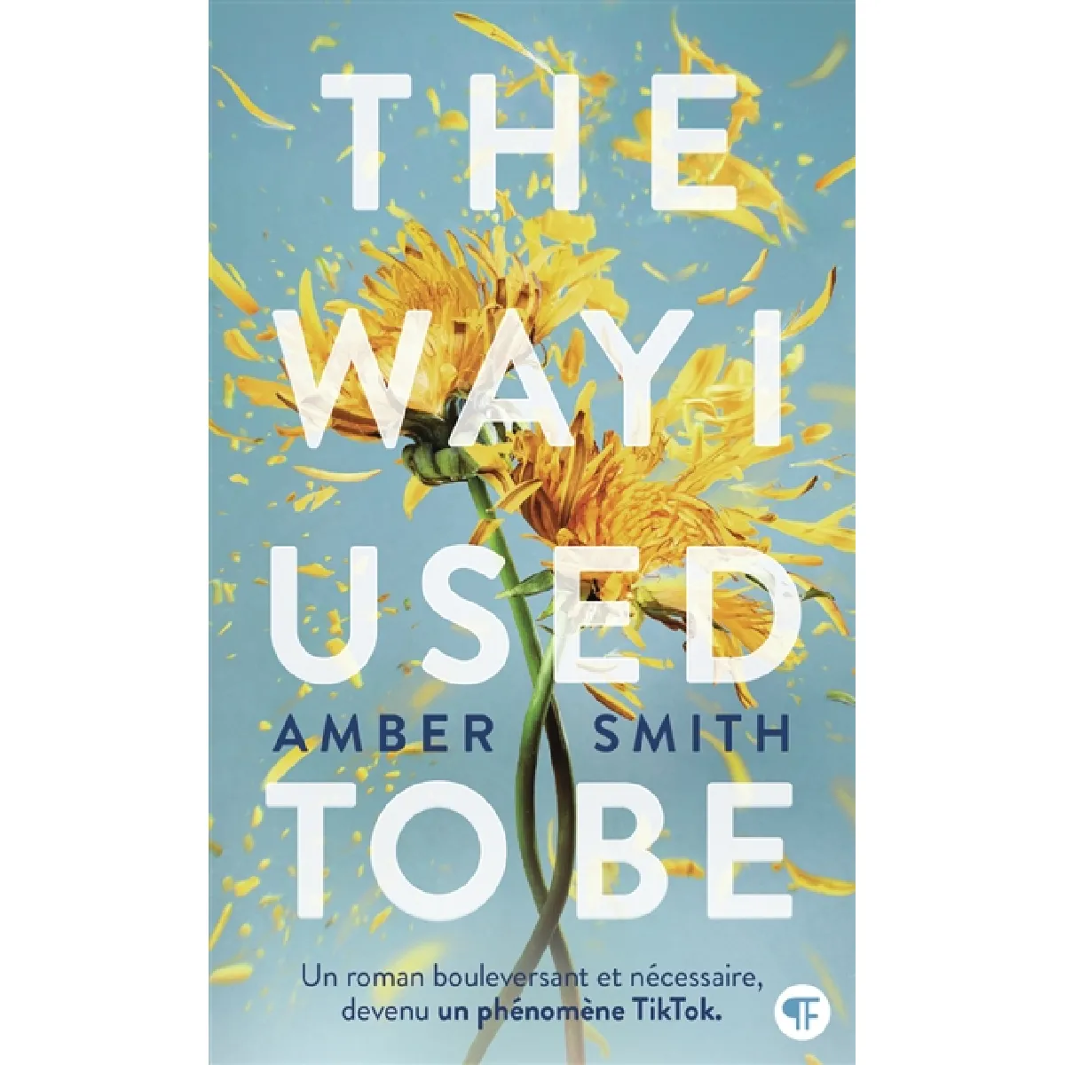 Gallimard Jeunesse The Way I Used To Be - Amber Smith - Poche - Roman Adolescent - Image 2
