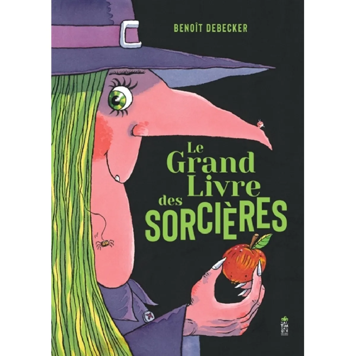 Le grand livre des sorcières
