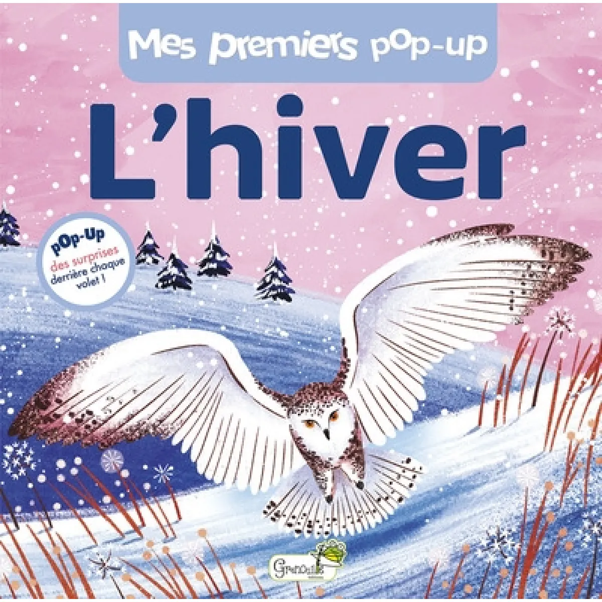 Grenouille L'hiver - Amy Grimes - Cartonné - Album Jeunesse - Image 2