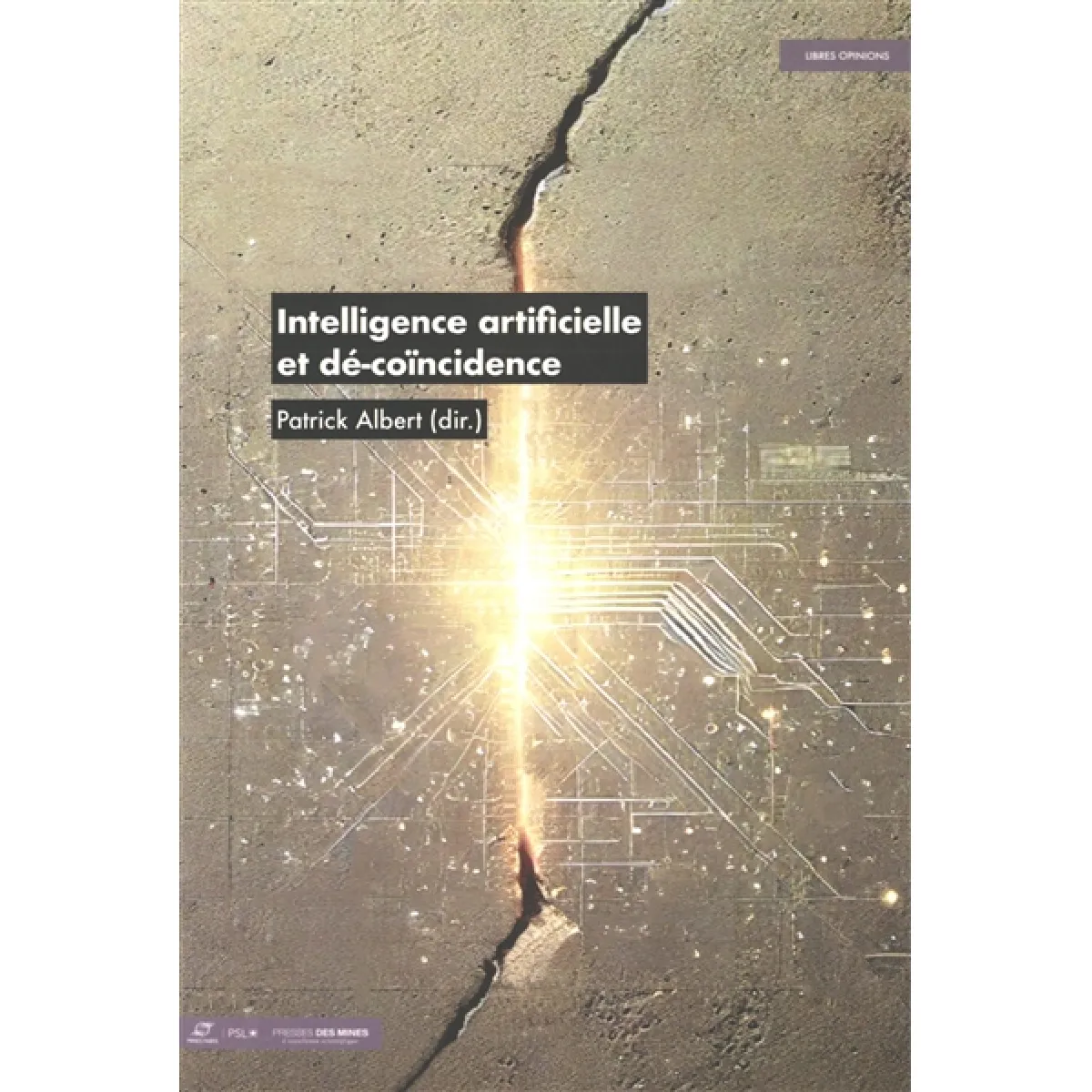 Intelligence artificielle et dé-coïncidence