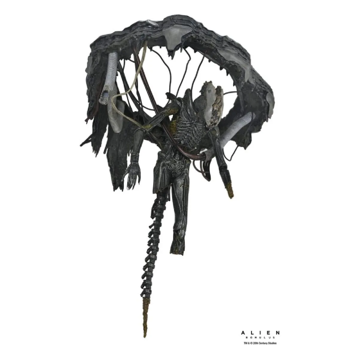 Neca Alien: Romulus - Figurine Deluxe Suspended Lab Xenomorph Xx121 18 Cm