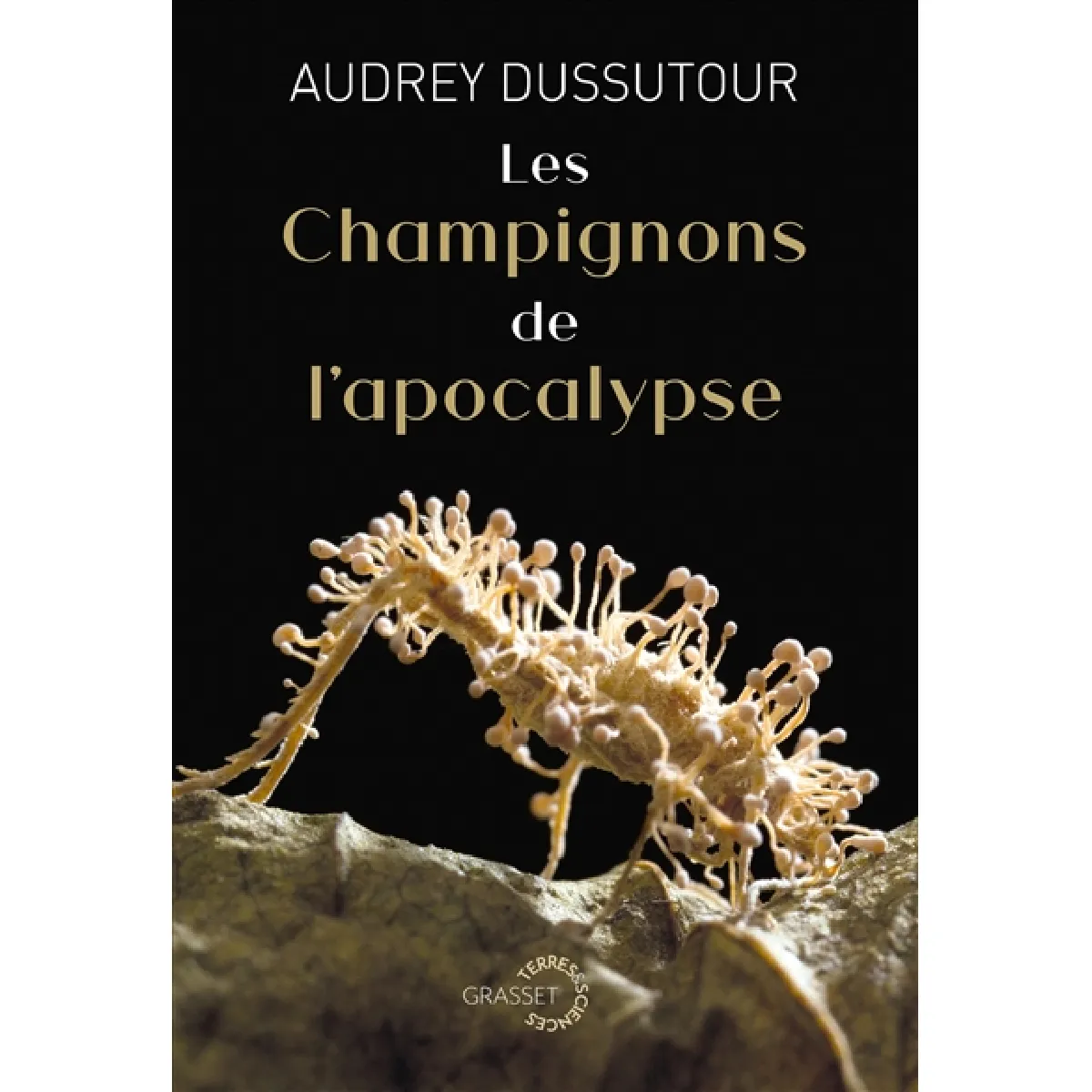 Grasset Les Champignons De L'apocalypse - Image 2
