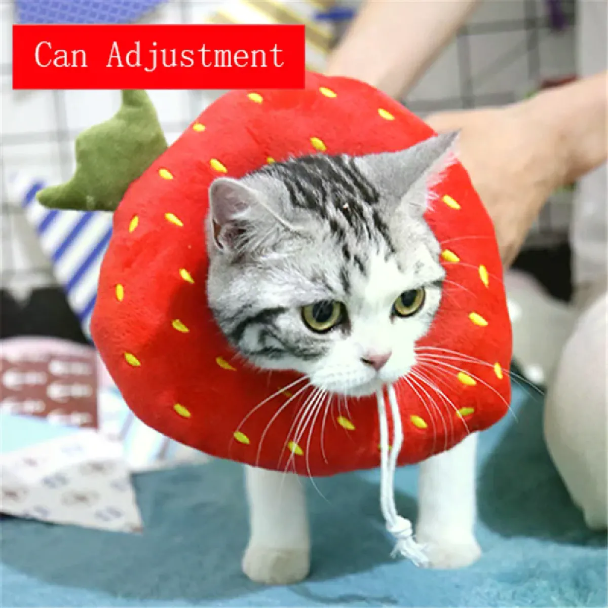 Comparer les prix de Collier élisabéthain en coton doux en forme d'avocat pour animaux de compagnie, réglable, pour chien et chat, pour la cicatrisation des plaies, pour prévenir les morsures, anneau d'étanchéité pour animaux de compagnie~01998