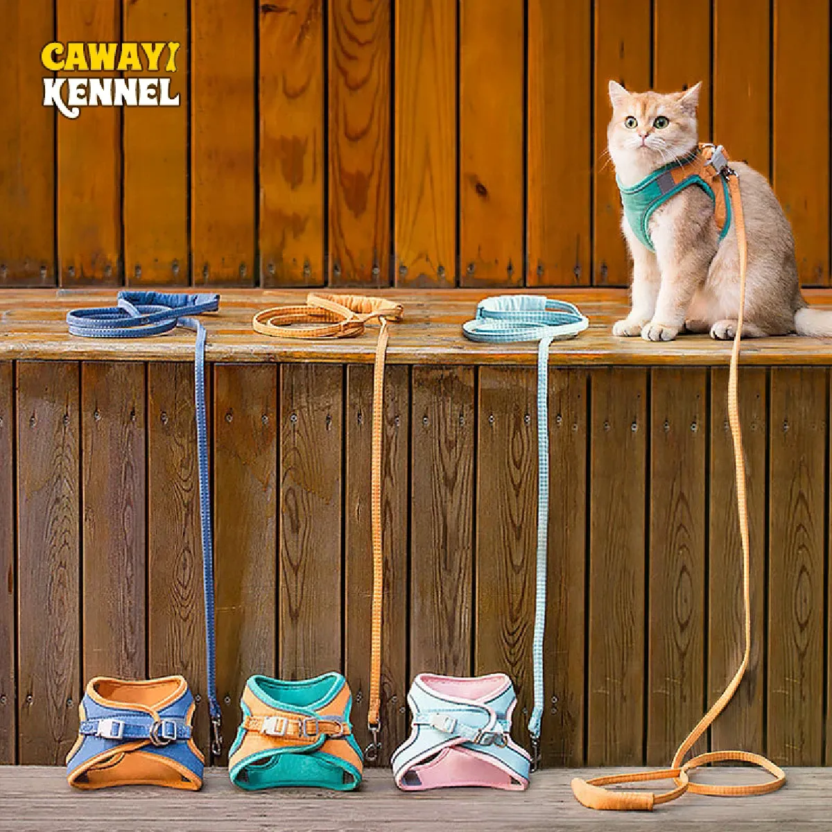 Meilleurs prix pour Ensemble harnais et laisse pour animaux de compagnie, laisses d'entraînement et de marche pour petits chats et chiens, imprimé floral, collier, laisses personnalisables~01176