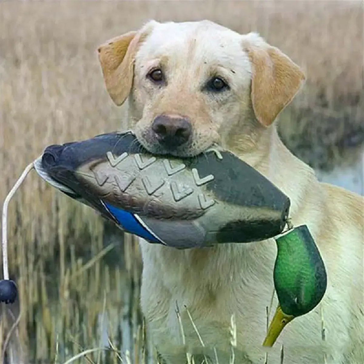Meilleurs prix pour Mimics Dead Duck Bumper - un jouet pour entraîner les chiots ou les chiens de chasse, apprendre à mordre un vison, ramasser avec un canard~02793