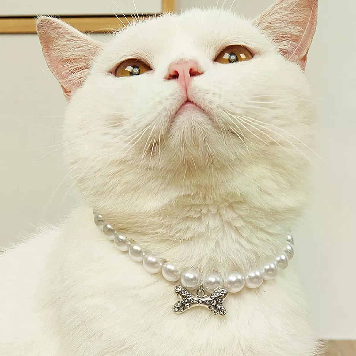 Collier réglable pour animaux de compagnie, accessoires pour chats, Gotas, animaux, mode, strass, collier pour chat Sphynx, chaton, chien~01978