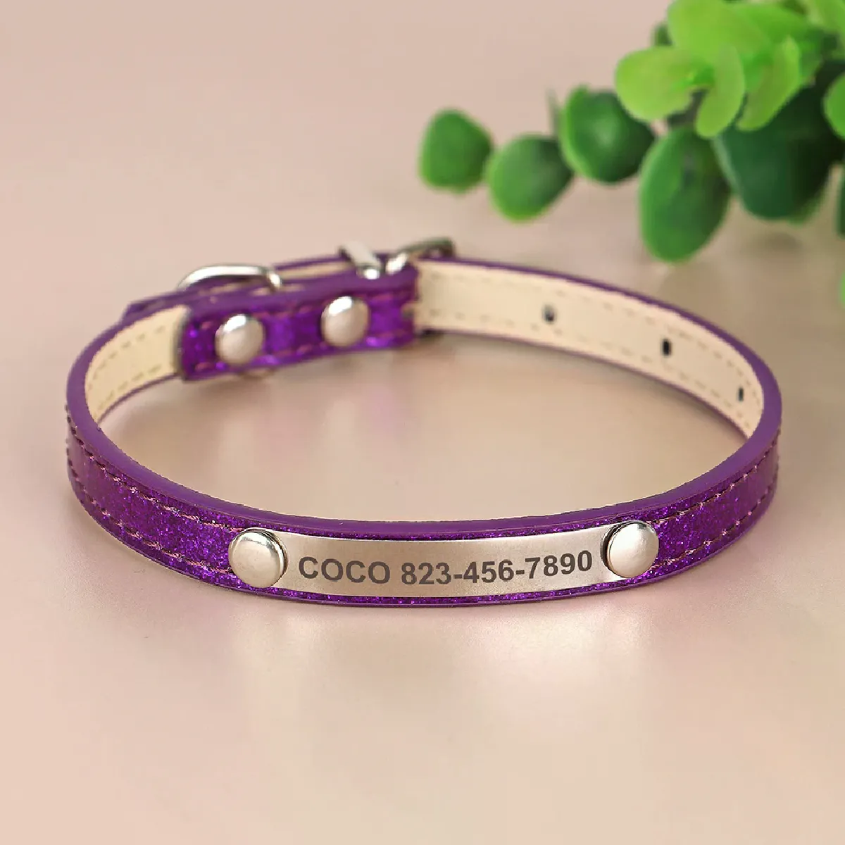 Collier d'identification anti-perte pour chat, collier personnalisé pour chat, étiquette d'identification gravée gratuite pour chats et petits chiens Bling~01112