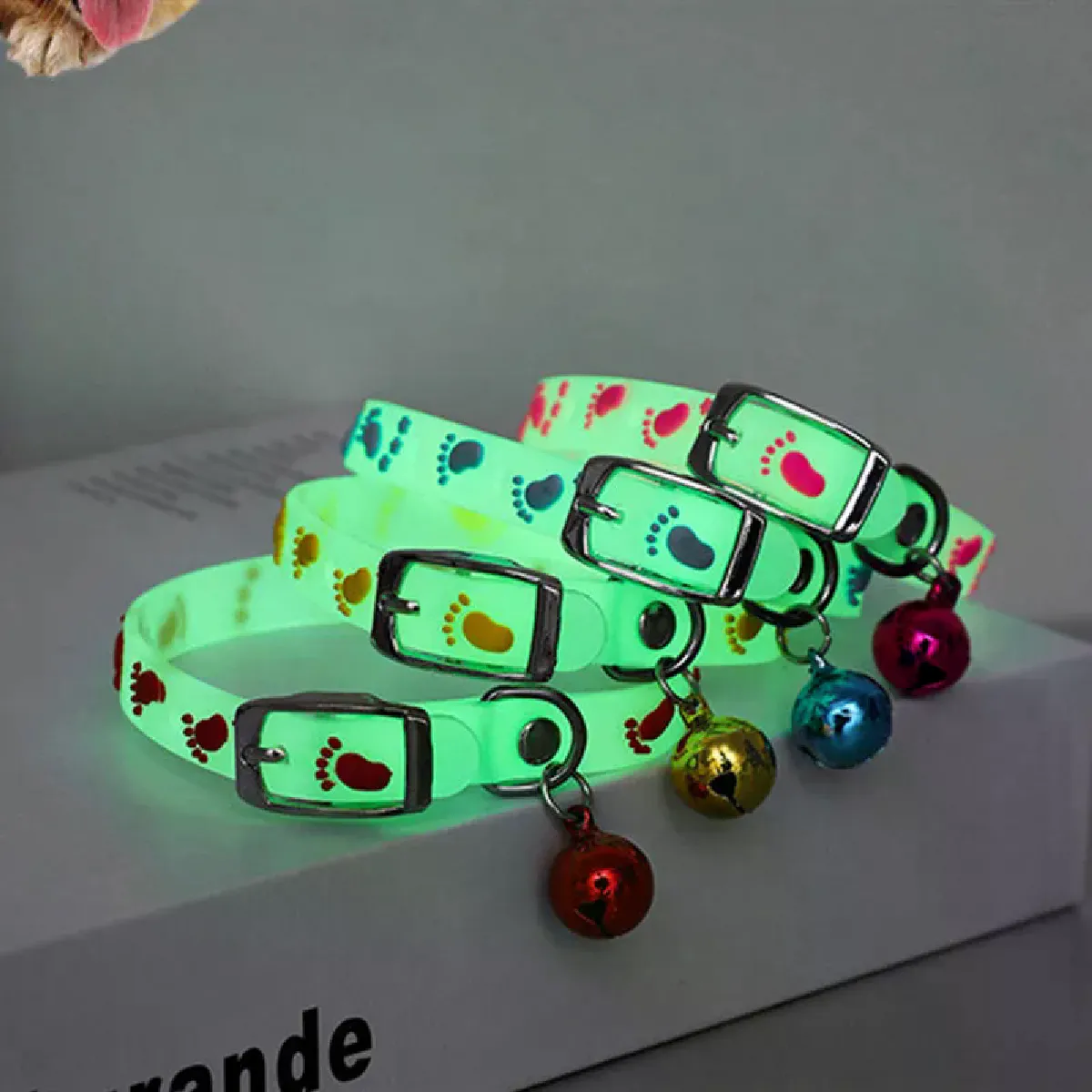 Meilleurs prix pour 1 collier pour chat avec cloches lumineuses, brille dans la nuit, laisse pour animal de compagnie, collier lumineux pour chien, anneau de cou, accessoires pour animaux de compagnie, couleur aléatoire~01093