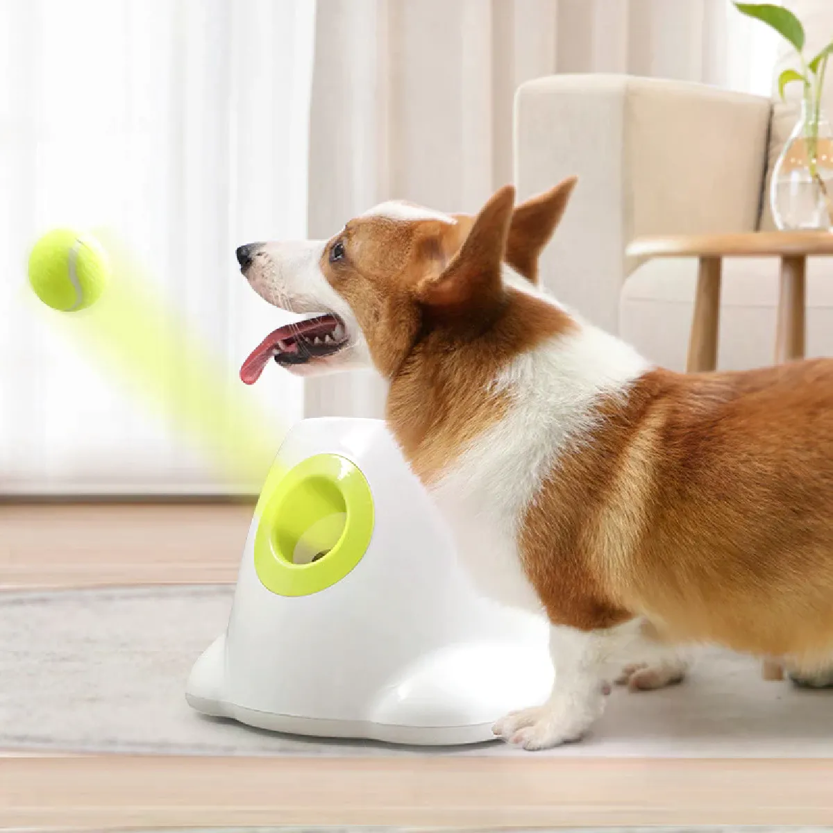 Meilleurs prix pour Lanceur de tennis automatique pour chien, jouet pour animal de compagnie, dispositif de lancer de balles pour animaux de compagnie, section de 3/6/9 m, émission avec 3 balles, entraînement canin~02618