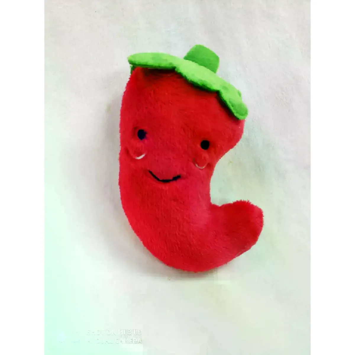 Meilleurs prix pour Jouets couineurs en peluche pour chiots, petits chiens agressifs de taille moyenne, os à mâcher pour animaux de compagnie, produits pour chats, accessoires pour chiots~04499
