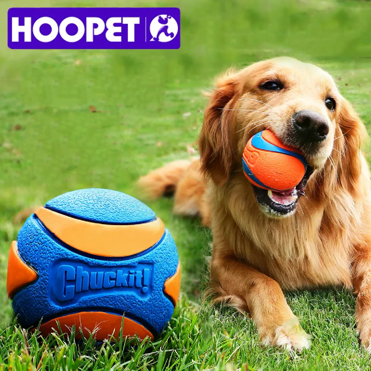 Meilleurs prix pour Jouet couineur à mâcher pour chien de compagnie, jouet sonore en caoutchouc naturel non toxique, jeu d'extérieur pour petit et grand chien, balle amusante~07496