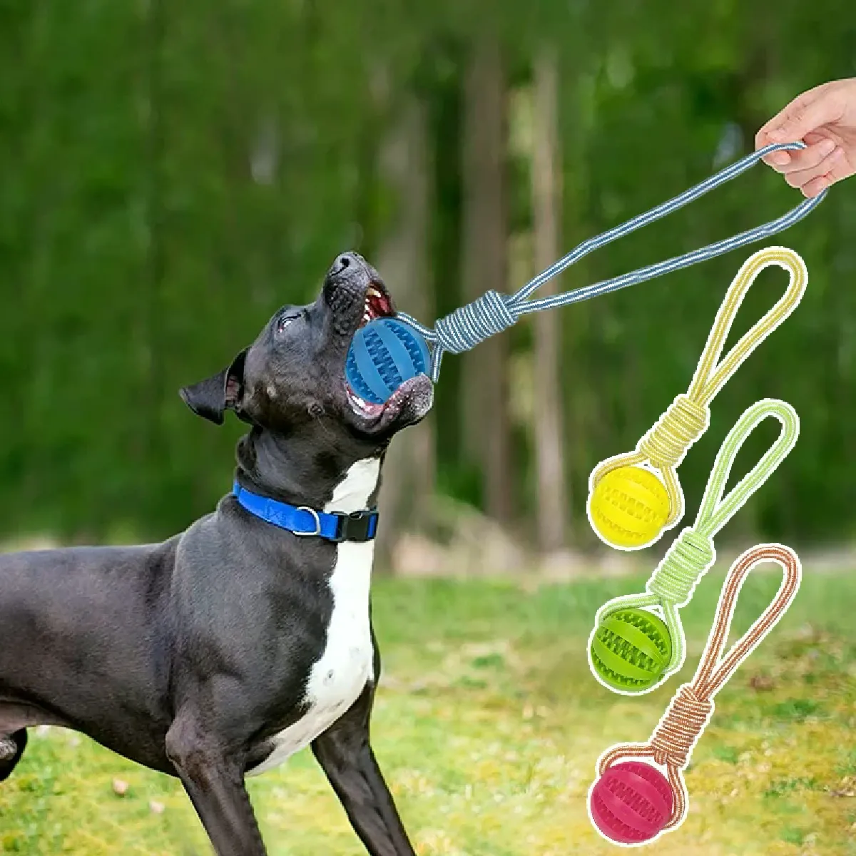Meilleurs prix pour Jouets pour chiens, balle à mâcher en caoutchouc extensible anti-fuite et anti-morsures pour animaux de compagnie, balle interactive en corde de chanvre pour le nettoyage des dents~07317