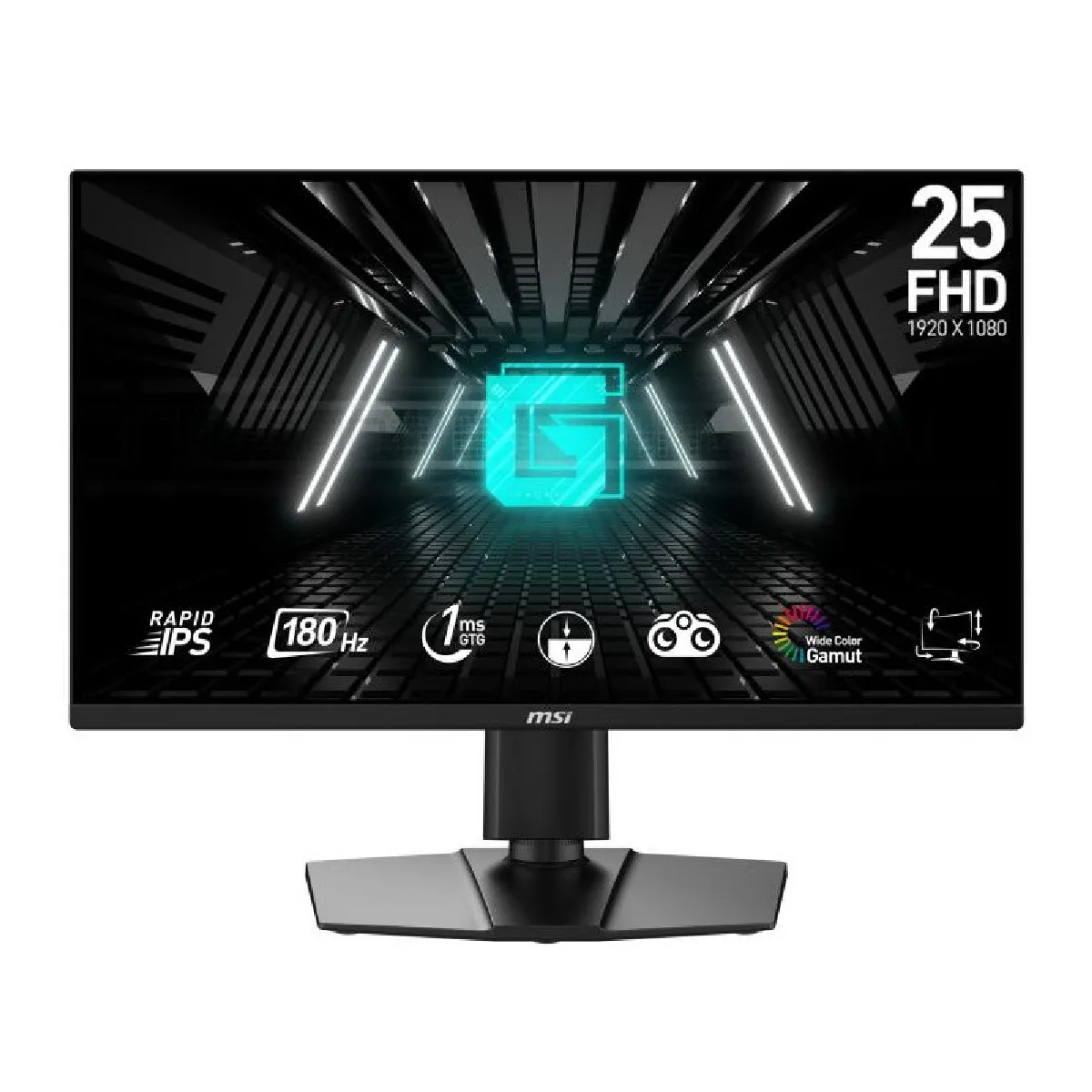 Msi Gris/Noir 24.5" Led - G255pf E2