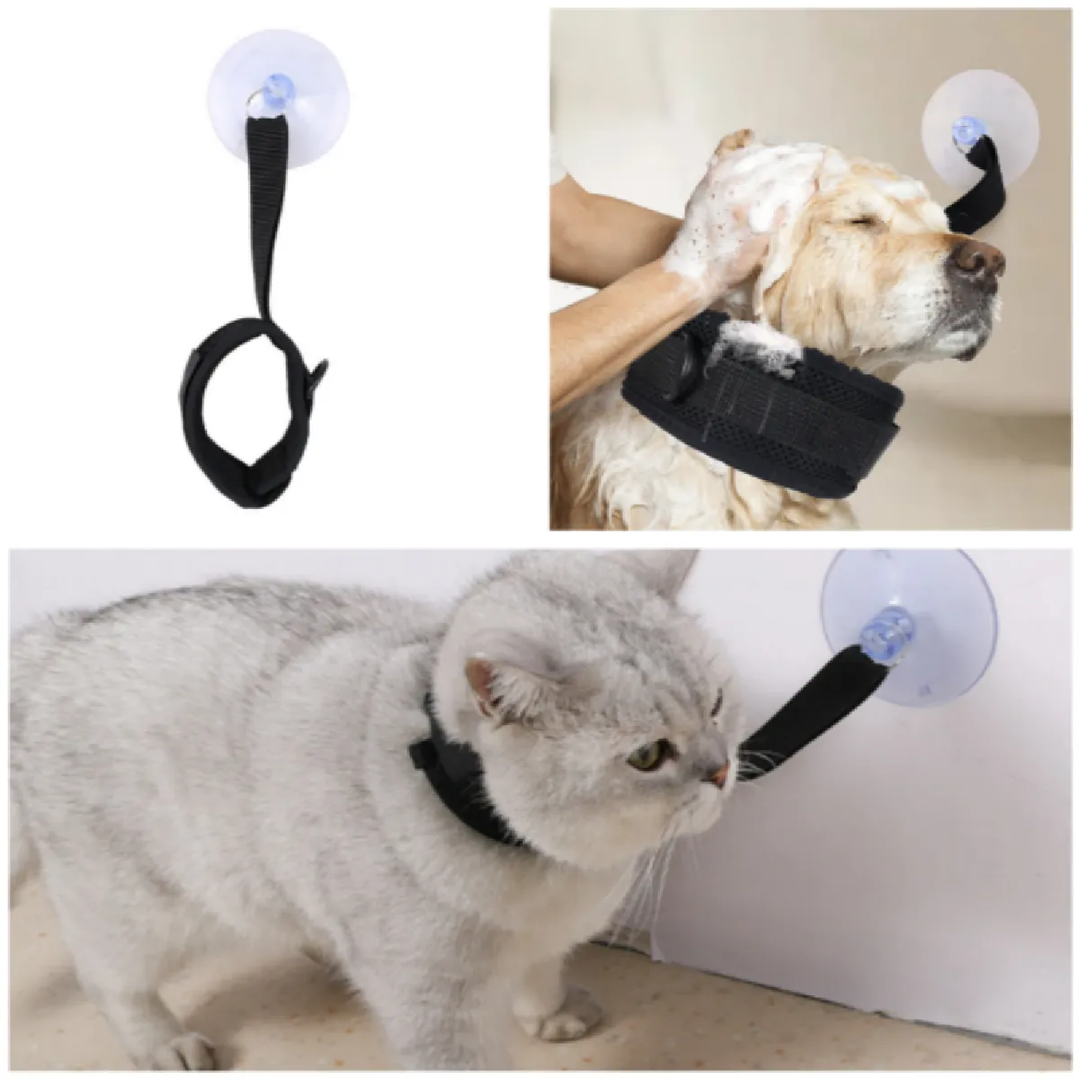 Meilleurs prix pour Grand collier de bain pour animaux de compagnie avec ventouses S