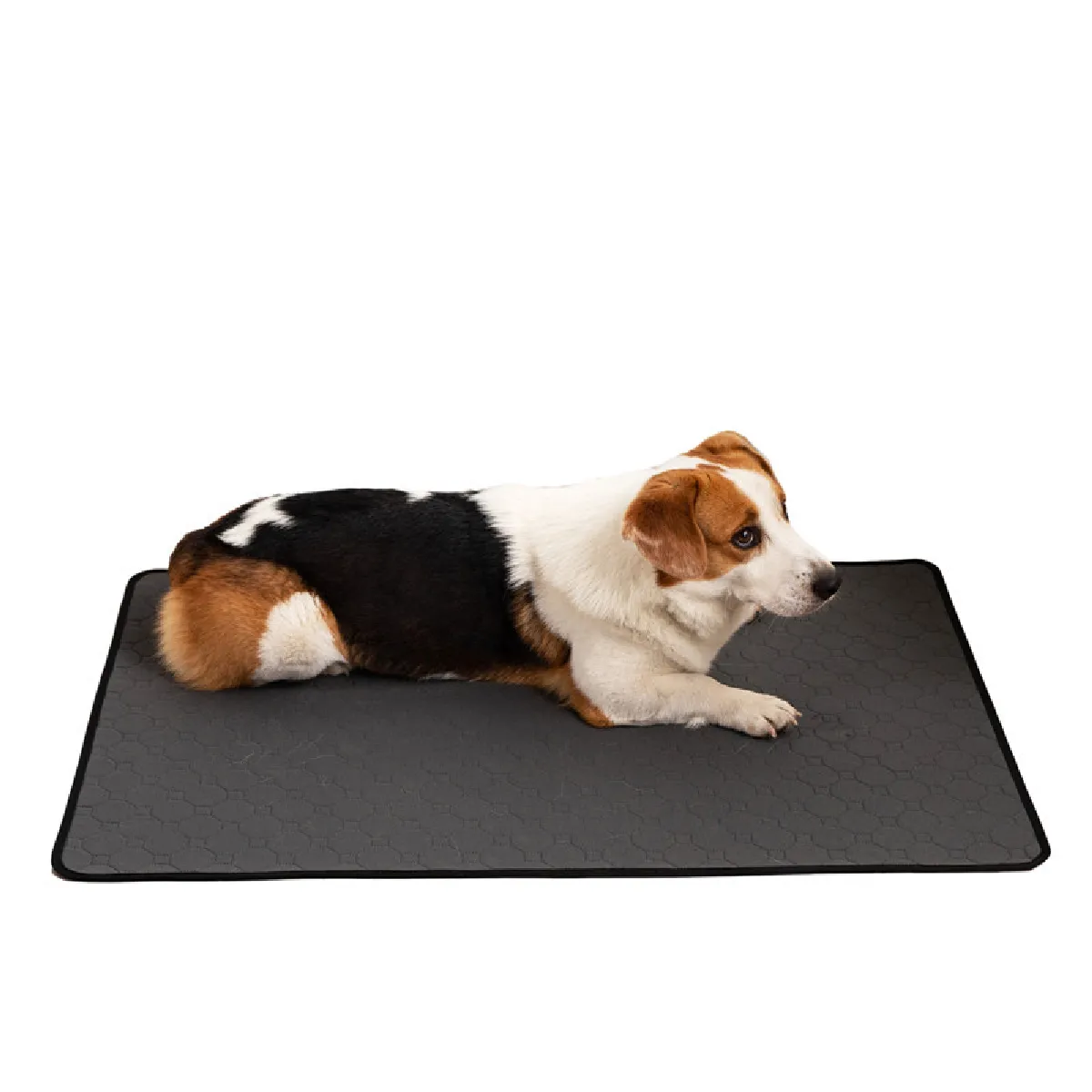 Comparer les prix de Tapis d'entraînement pour animaux de compagnie, tapis de pipi lavables pour chiens L