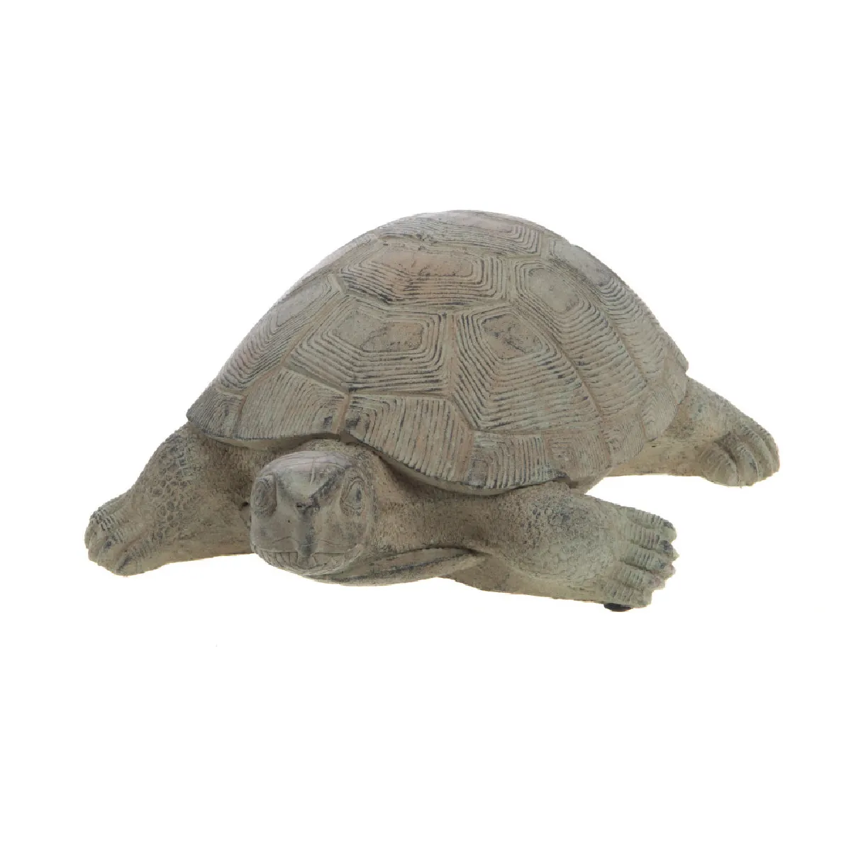 Amadeus Tortue Écailles 12 Cm