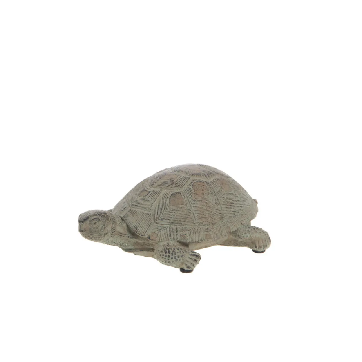 Non Communiqué Gris Statue : Tortue Écailles Petit Modèle - Amadeus - Image 3