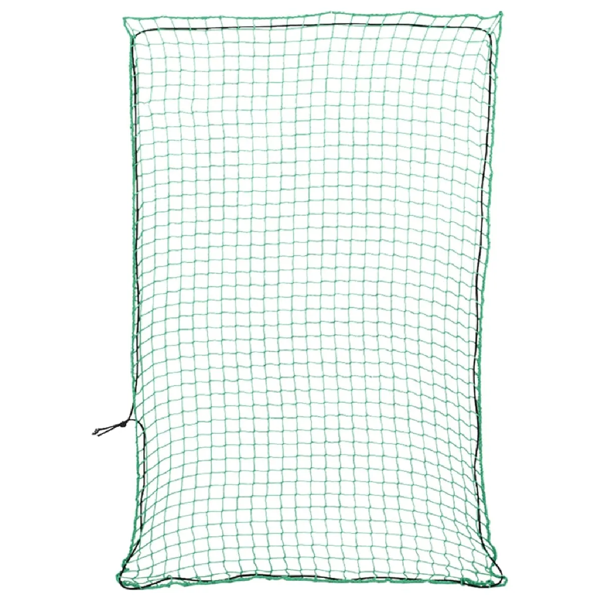 vidaXL Filet pour remorque avec corde élastique 5x3 5 PP - vue 1