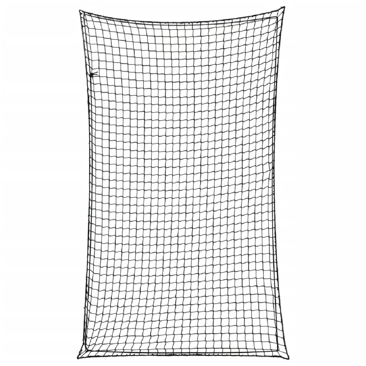 vidaXL Filet pour remorque avec corde élastique 5x3 PP - vue 2