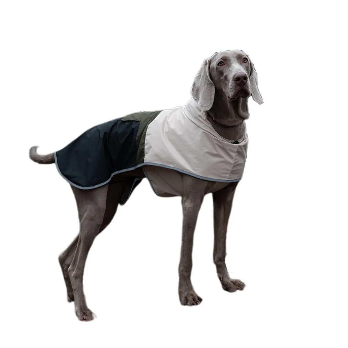 Meilleurs prix pour Manteau Imperméable et Coupe-Vent pour Grand Chien - Veste Pluie Printemps XL