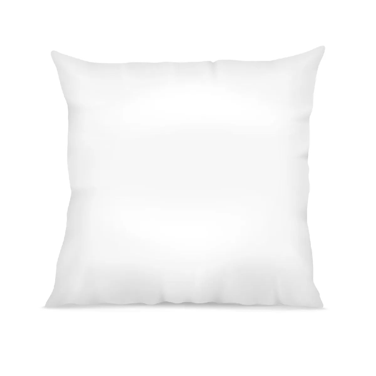 MORTREUX Oreiller Blanc Coton Percale Moelleux 60x60 - 3984