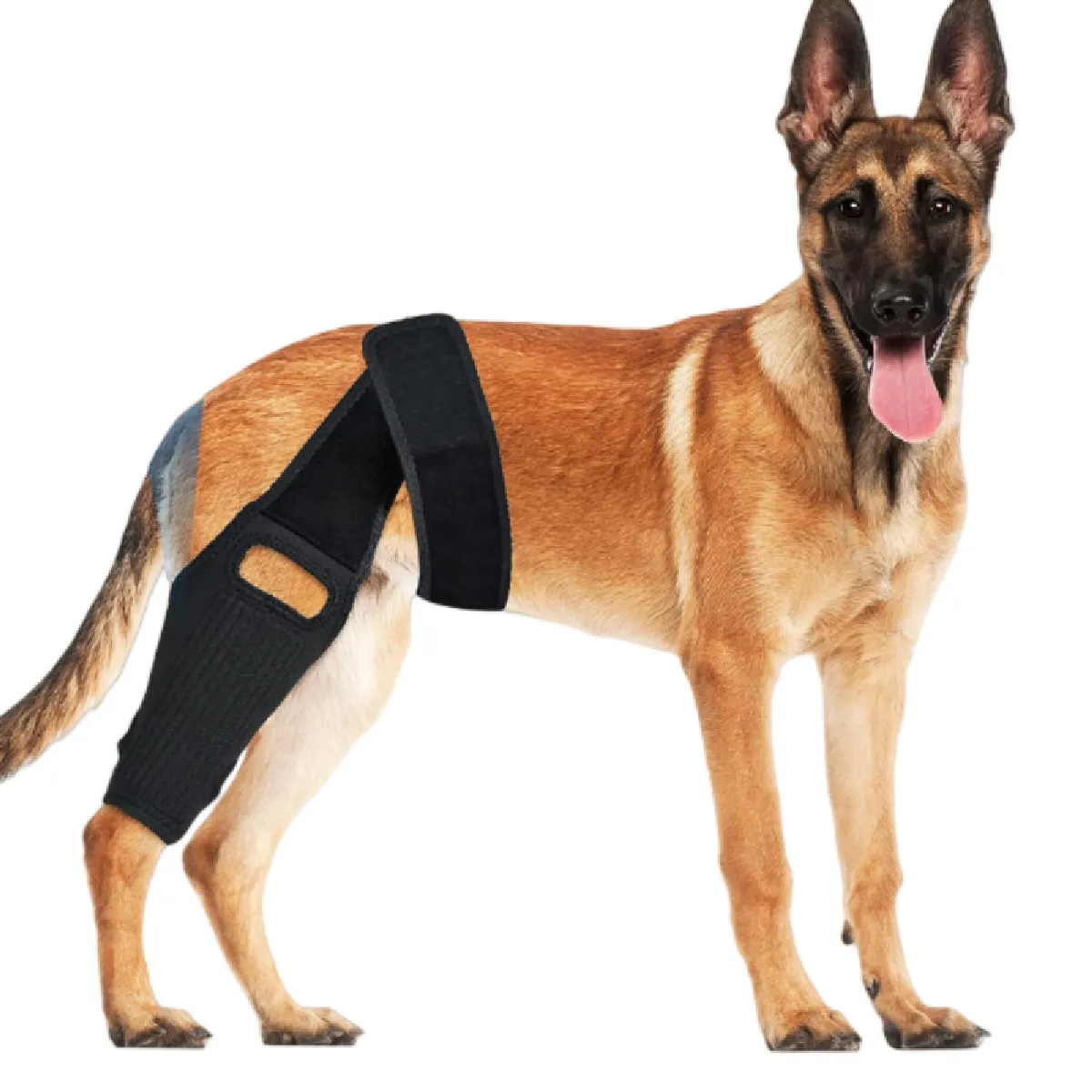 Comparer les prix de Genouillère pour chien pour le soutien du LCA, du LCC et du LMC S