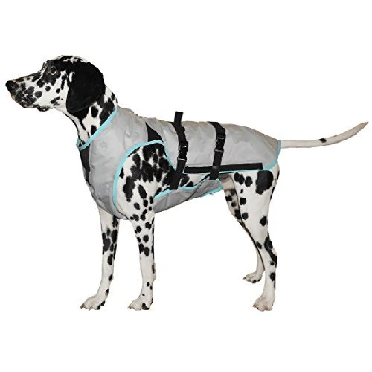 Suitical Dry Gilet de refroidissement pour chien, grande, Argent,