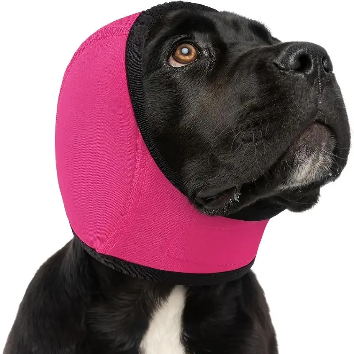 Protection d'oreille étanche pour chien - Natation estivale et soulagement de l'anxiété Re