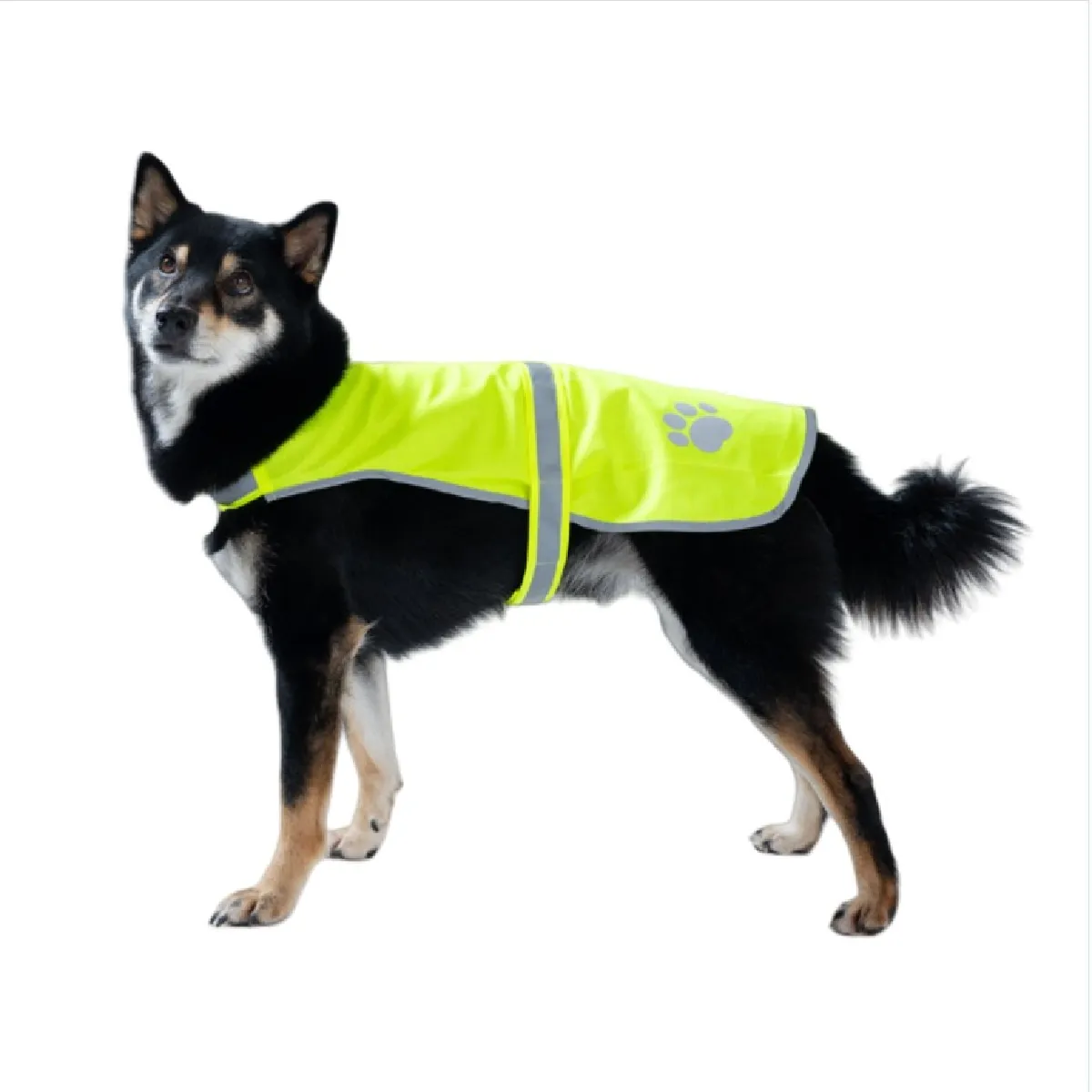 Gilet de sécurité réfléchissant pour animaux - Gilet anti-perte haute visibilité pour chie