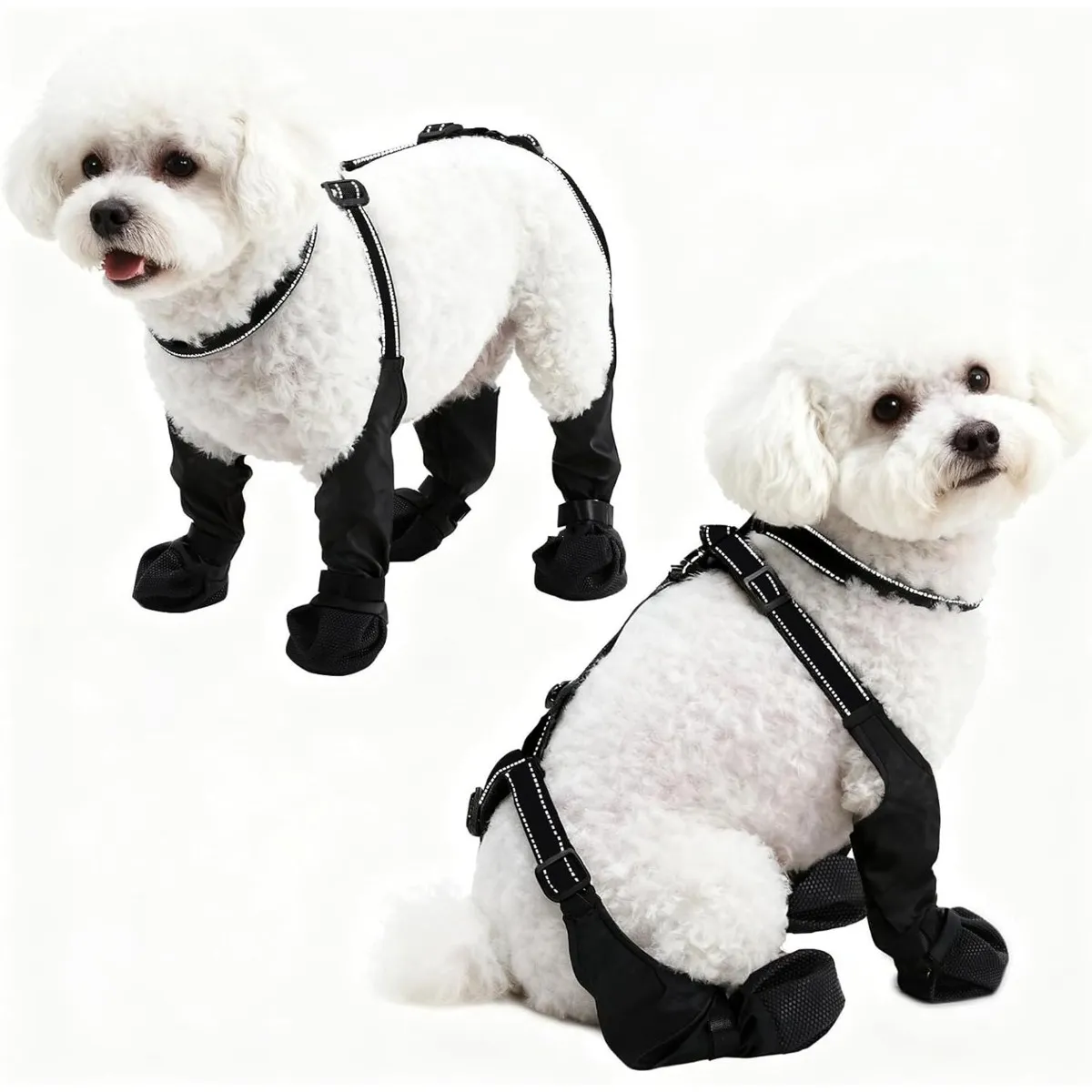 Chaussures Anti-Saleté et Antidérapantes pour Chien - Gardez les Pattes Propres & Sécurisé