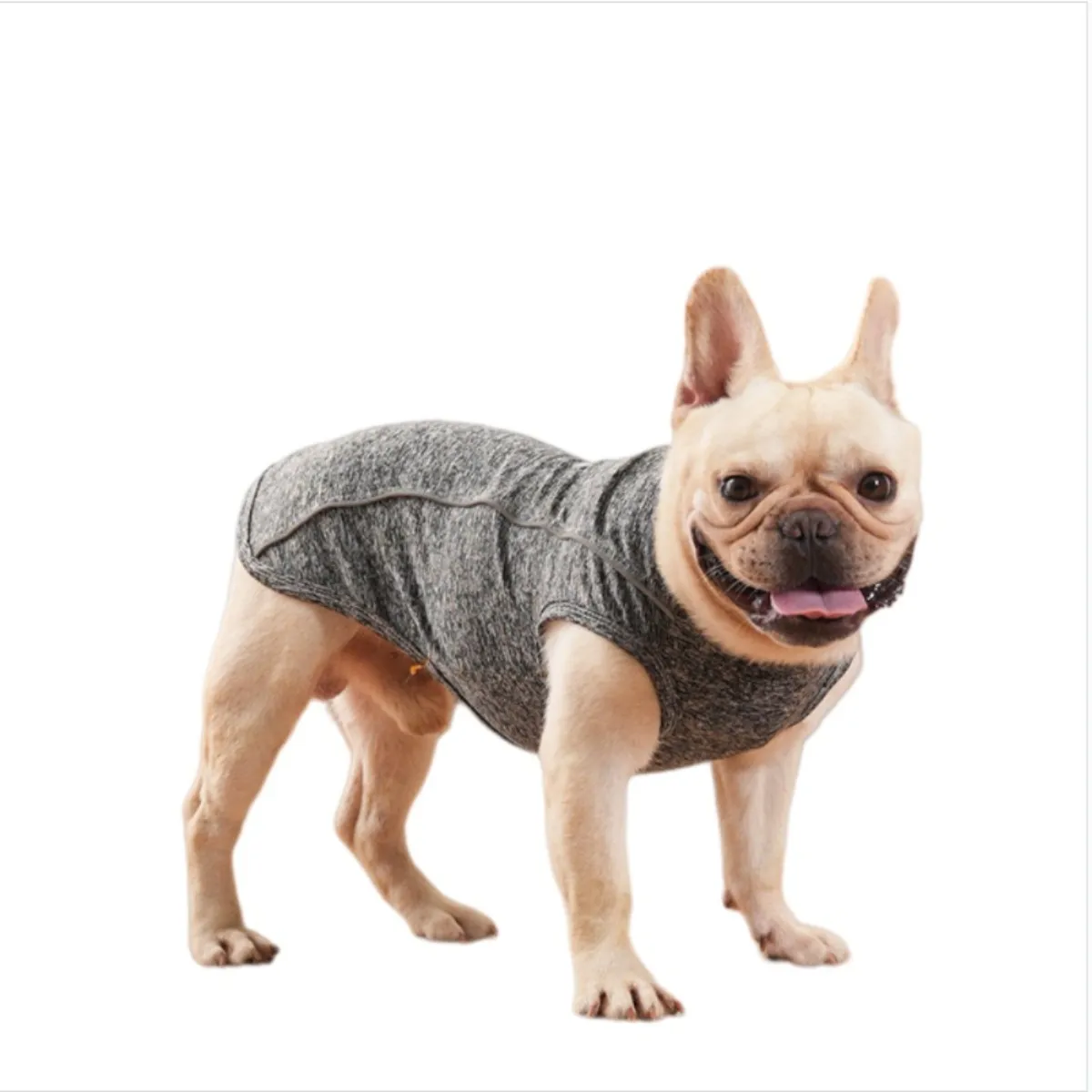 Meilleurs prix pour Gilet réfléchissant phosphorescent en polyester pour chien avec anneau en D et trou pour l
