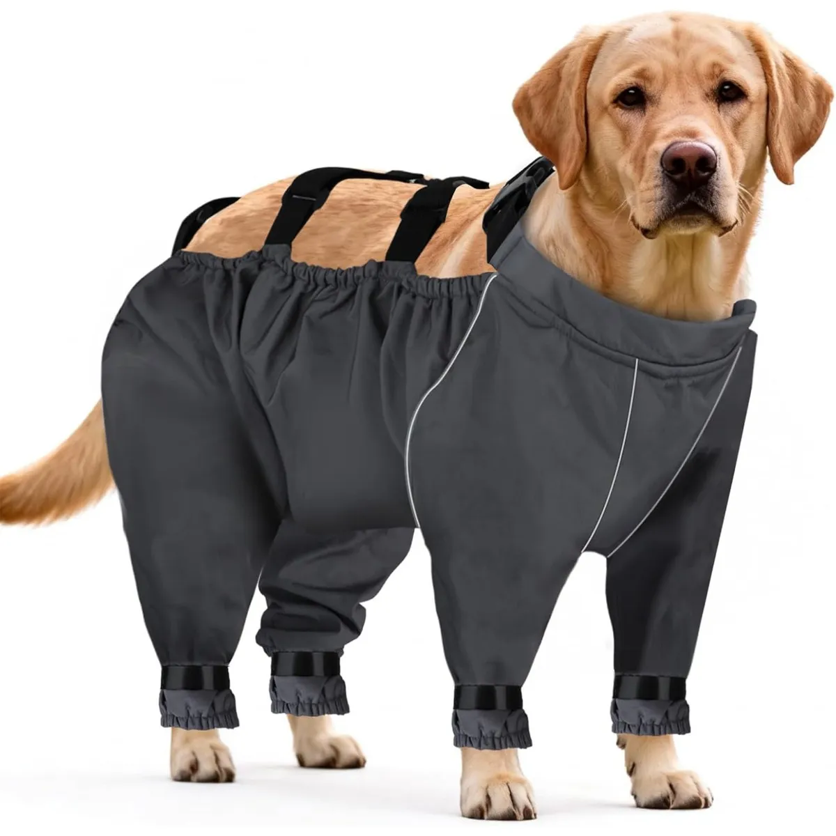 Combinaison complète pour chien - Pantalon anti-saleté respirant pour chiens de petite à m