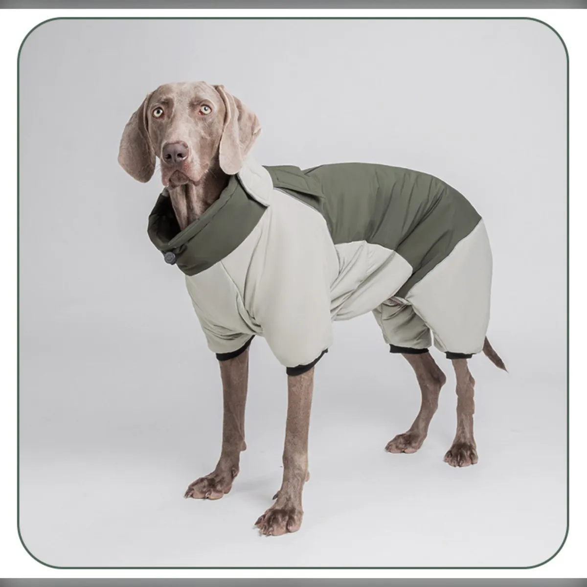 Comparer les prix de Combinaison de neige verte à quatre pattes pour chien : Manteau d'hiver chaud, imperméable