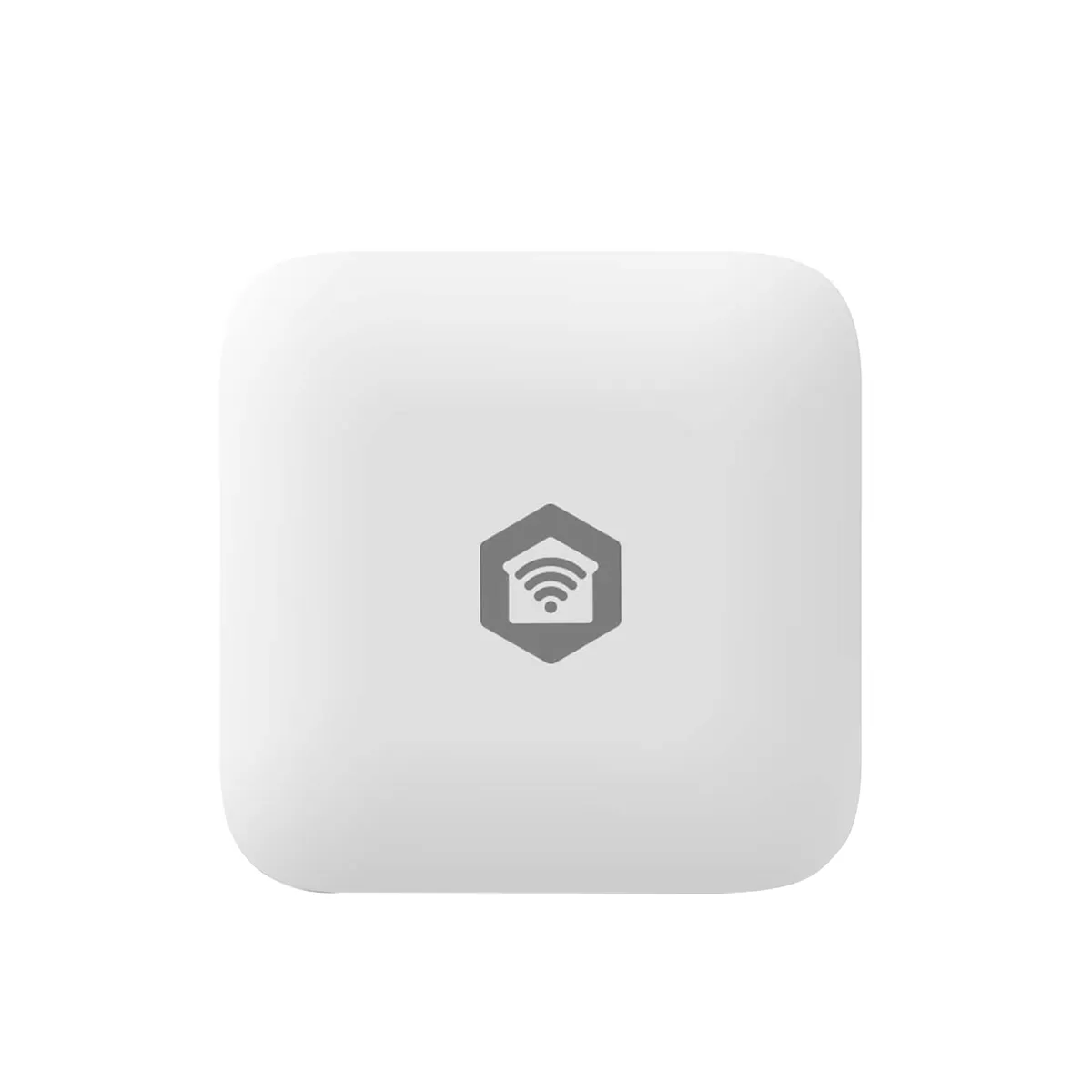 Nedis Blanc Capteur Fuites D'eau Connecté Zigbee Étanche Ip66 Compatible Android Et Ios