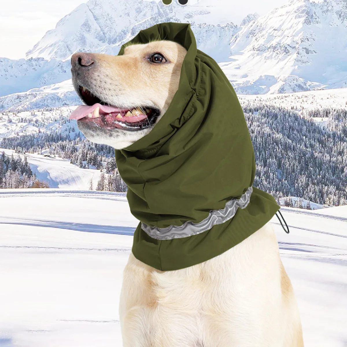 Cagoule apaisante pour chien - Tour de cou imperméable et chaud pour chien grass color L