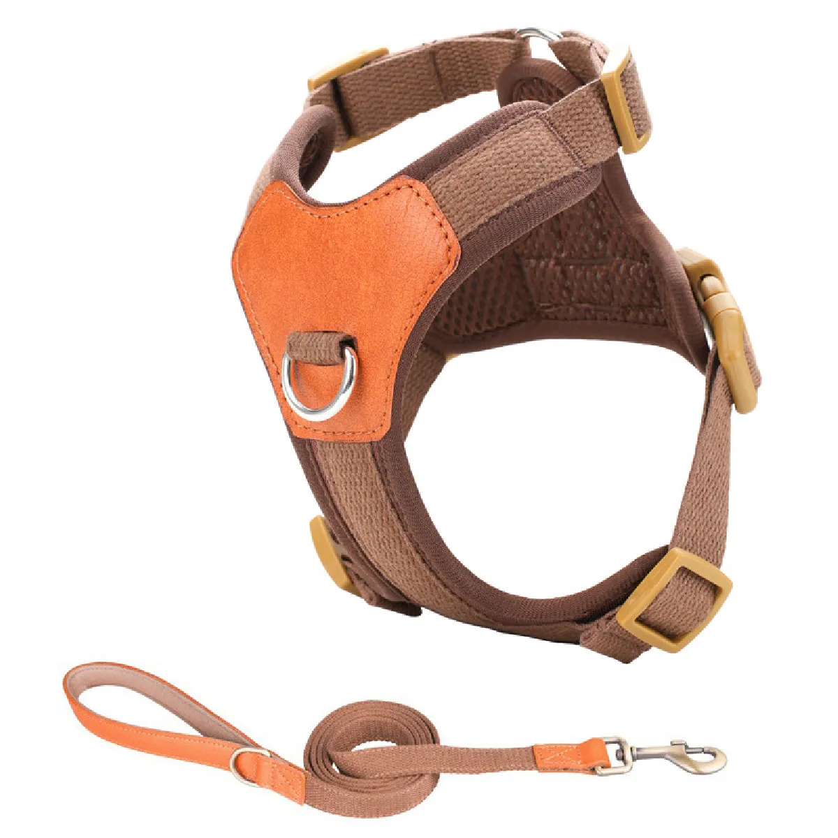 Ensemble Harnais et Laisse Anti-Fuite Confortable pour Chiot S
