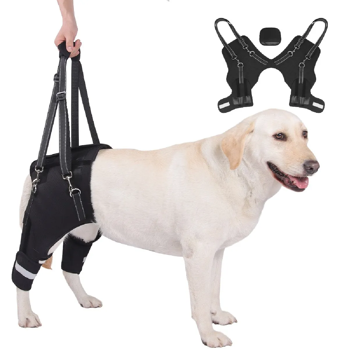 Harnais de soutien pour pattes arri ère de chien Aide à la mobilité pour animaux âgés et - vue 1