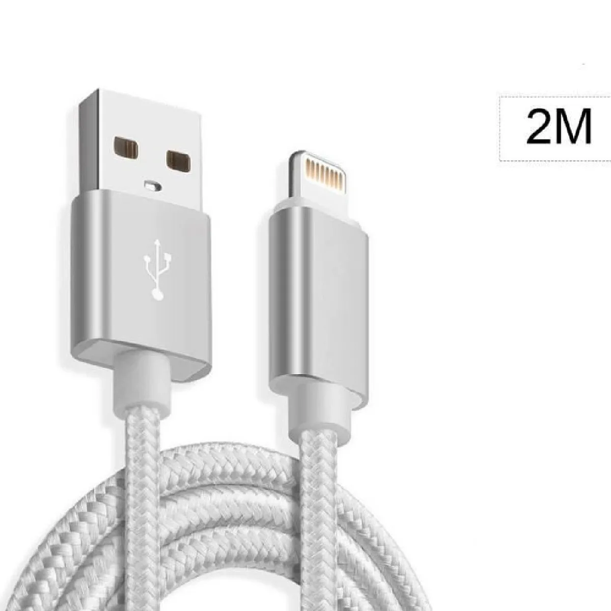 Cable Metal Nylon Renforce Chargeur USB Couleur Argent pour IPhone Longueur 2m Tréssé Compatible IPhone 5s/6/6S/7/8/X/Xr Couleur :