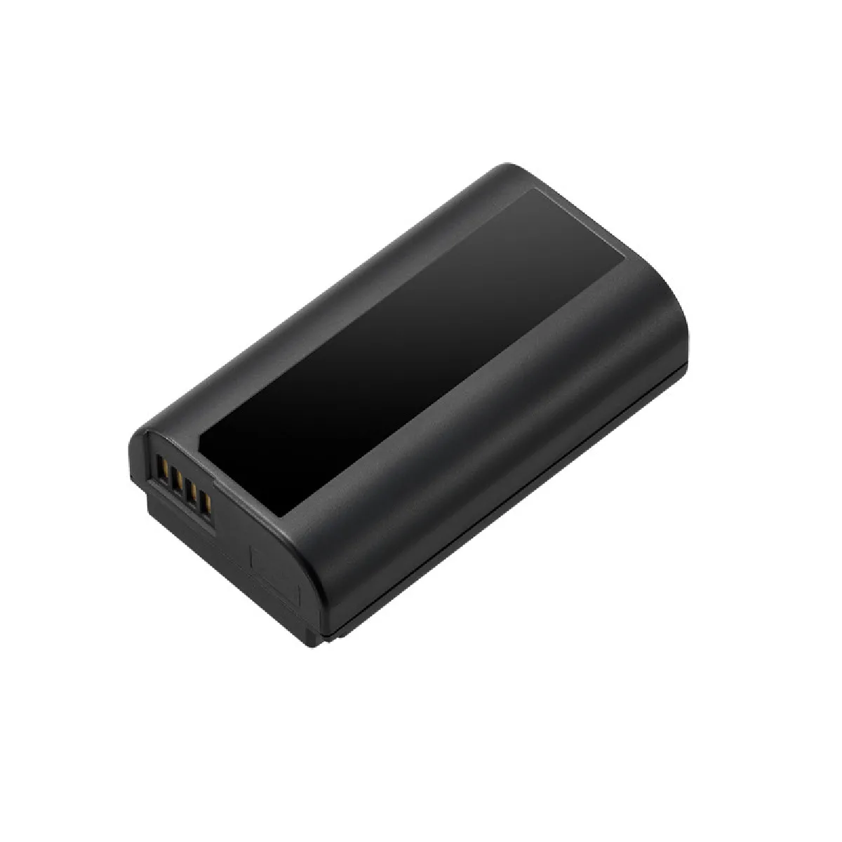 Batterie Panasonic DMW BLJ31E pour S1 et S1R - vue 6
