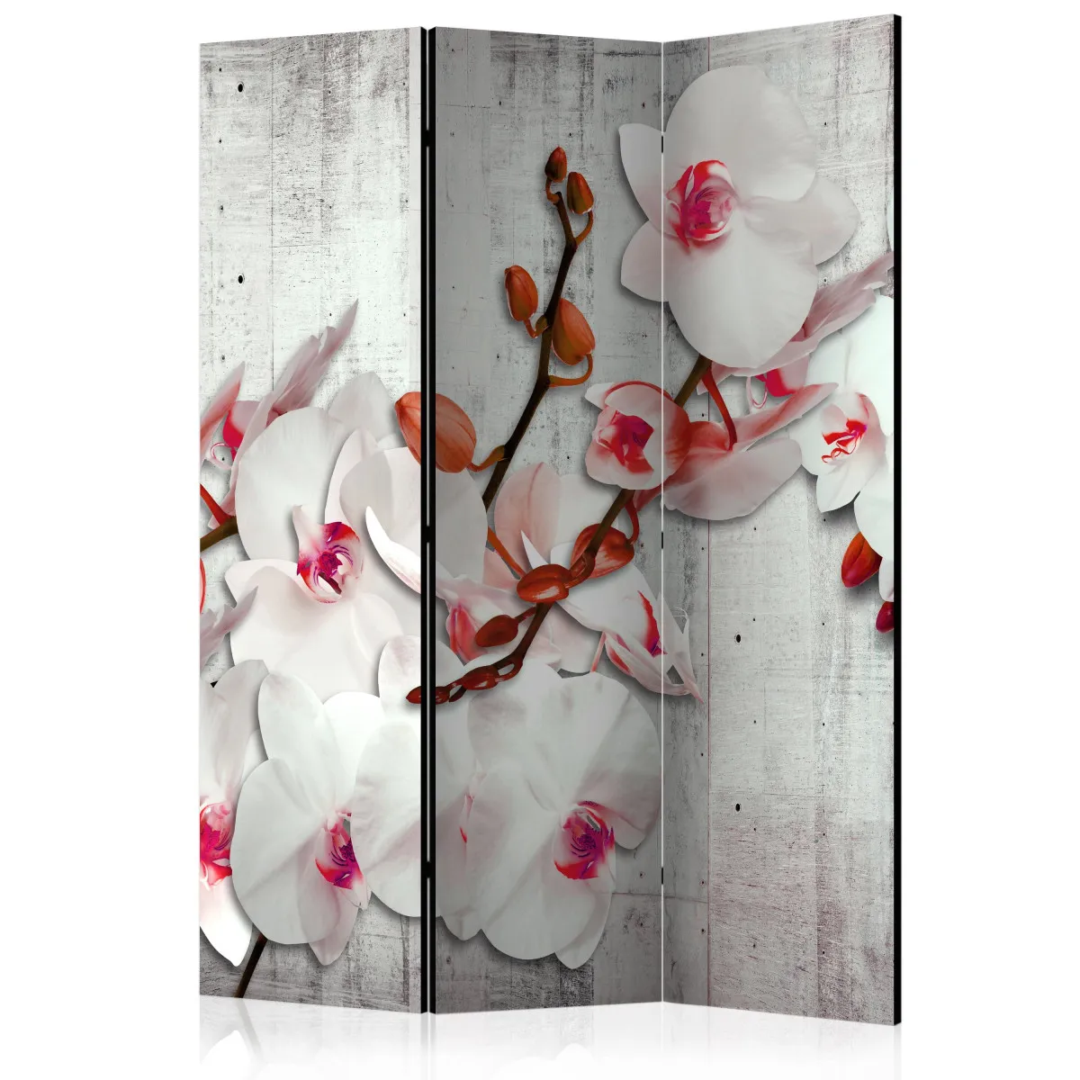 Paravent 3 volets - Concrete Orchid [Room Dividers] - 135x172 (38703)