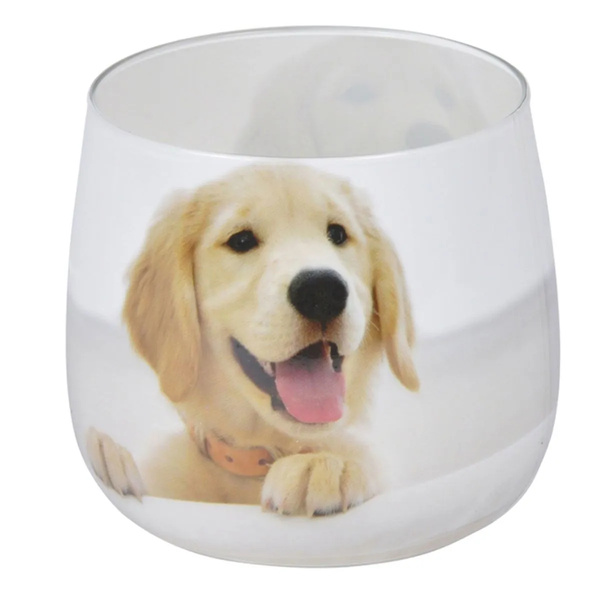 GENERIQUE - Bougie Anti-Odeurs Chien - 8cm - Blanc - Image 2
