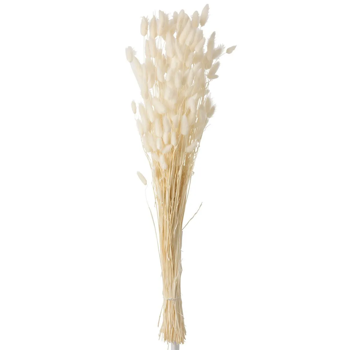 Generique Bouquet De Fleurs Queue De Lièvre 86Cm Ecru - Image 2