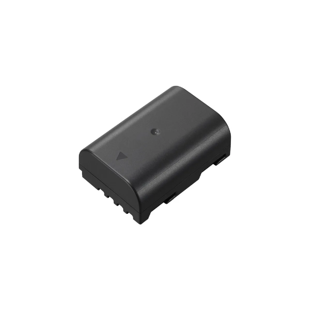 PANASONIC DMWBLF 19 E - vue 8