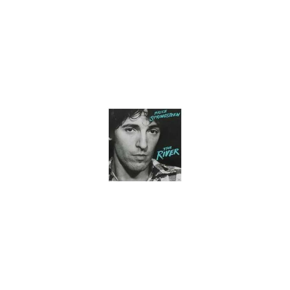 Sony Video Non Musicale - Bruce Springsteen The River - Image 2