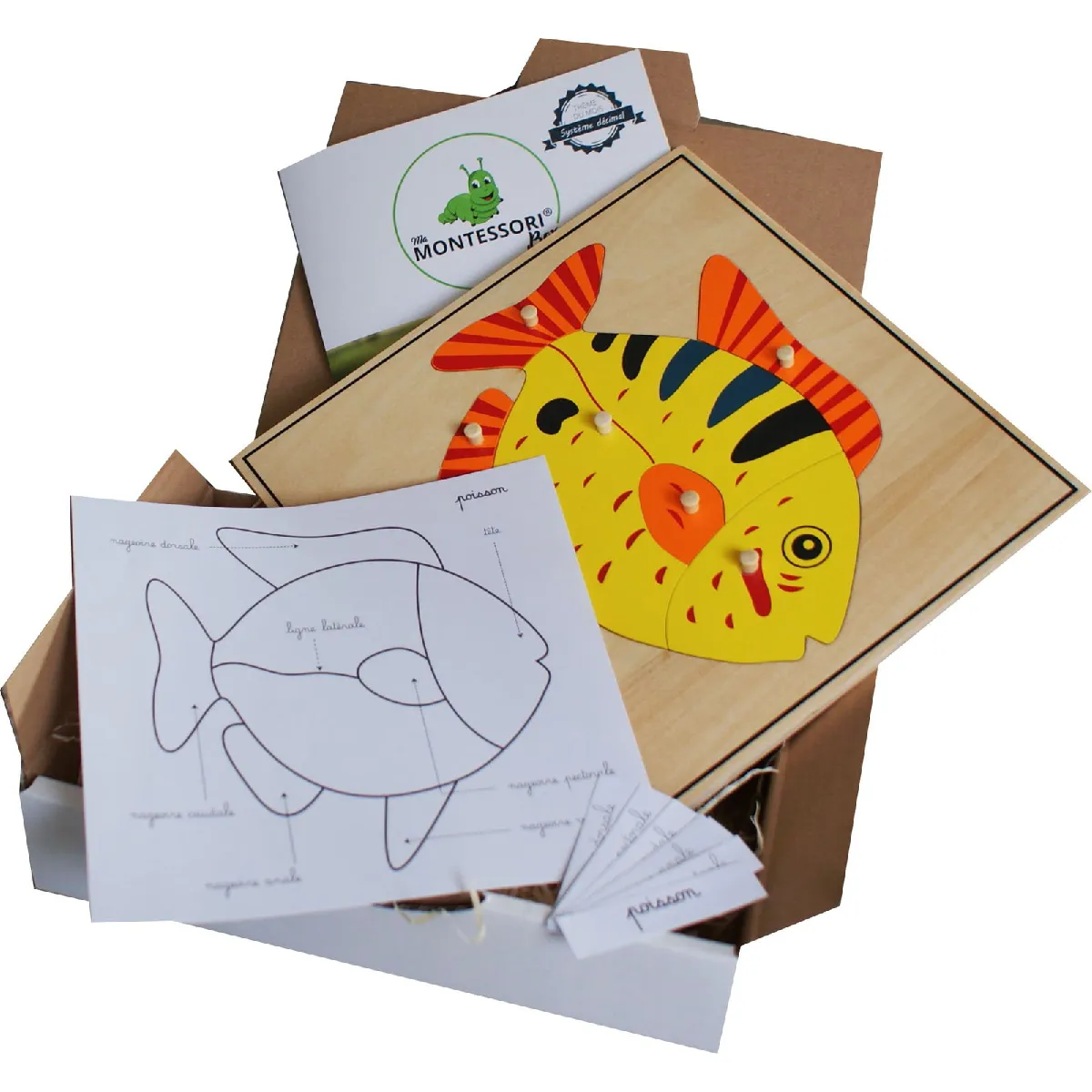 Puzzle Zoologie Poisson Montessori