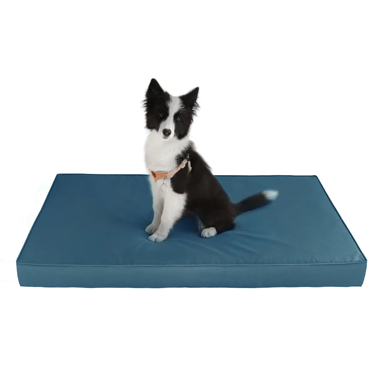 Lit chien XXL VERCART, tissu Oxford, mousse, housse lavable.