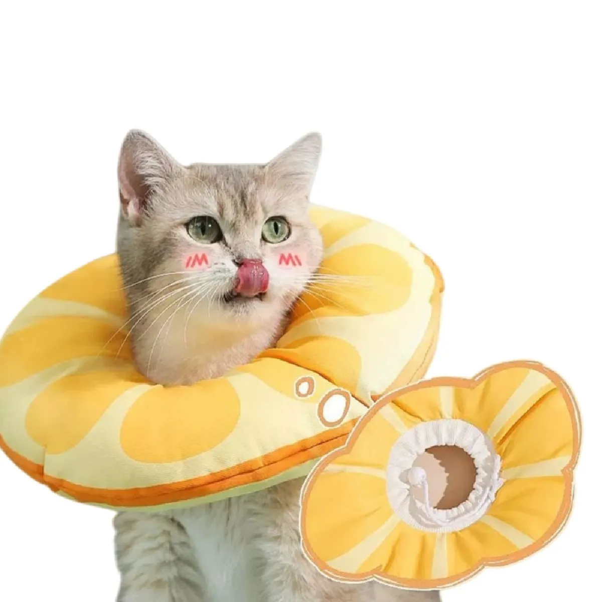 Collerette Élisabéthaine Imperméable pour Chat - Réglable et Confortable M