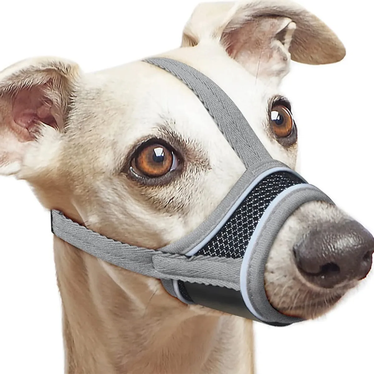 Muselière Réfléchissante pour Chien - Nylon Doux, Ajustable et Respirant L