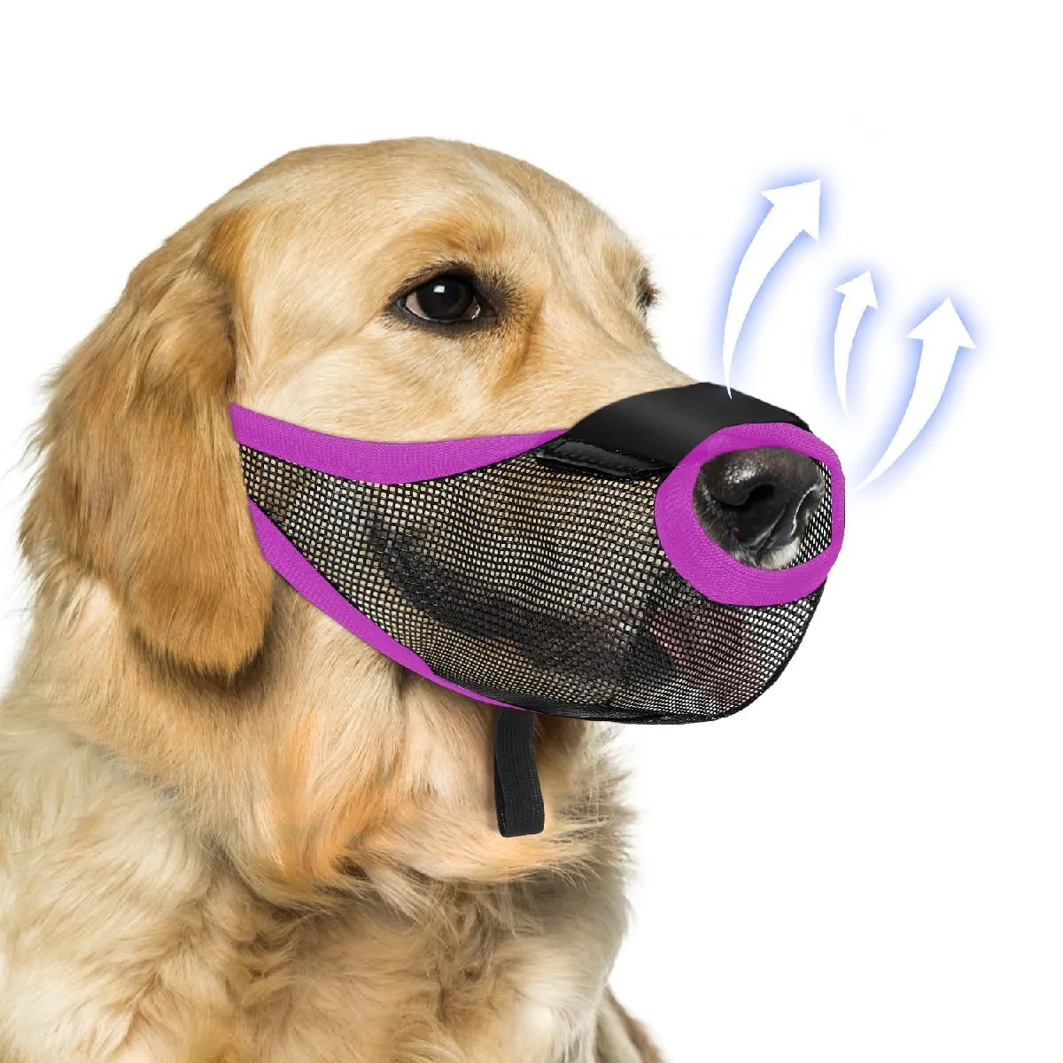 Muselière pour chien en maille aérée - Anti-morsure, Anti-aboiement, Anti-léchage Violette