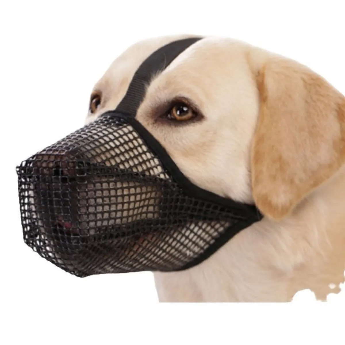 Muselière Ajustable en Nylon pour Chien : Anti-Morsure, Léchage & Respirante M